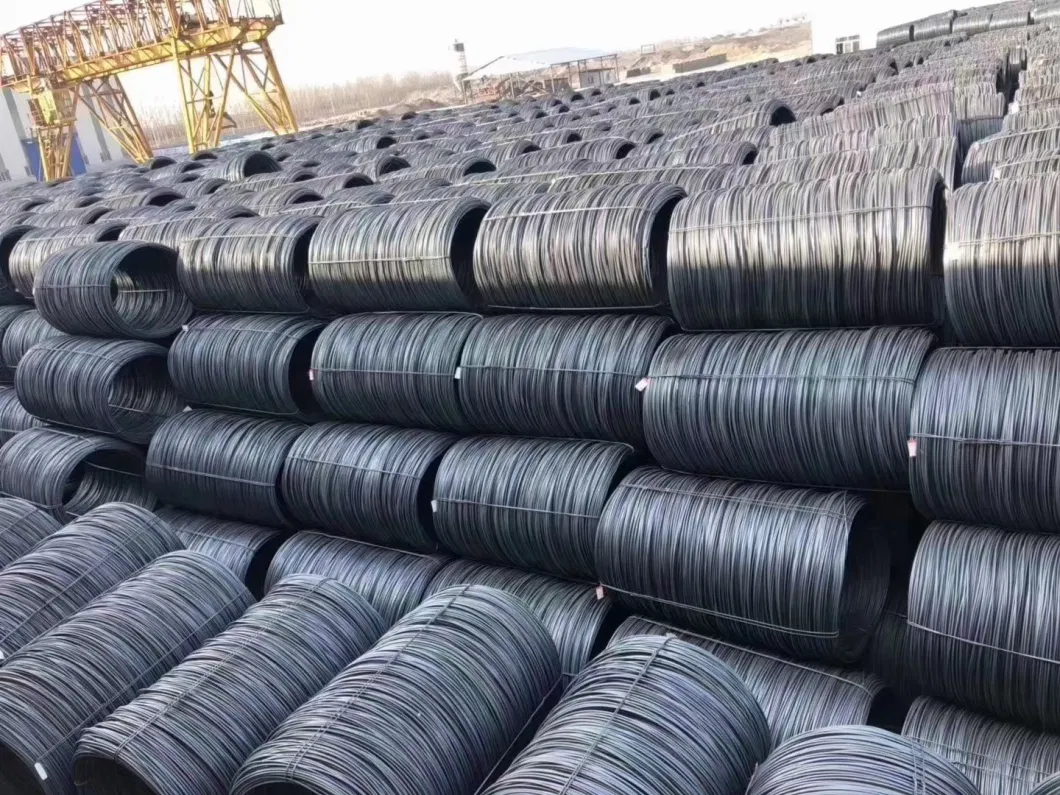 Q235 Q345 Q195 Sch 40 St37 St52 Construction Low Carbon Steel Wire Rod Black Annealed Binding Wire Iron Rod